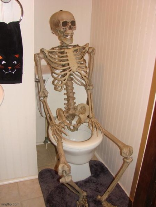 Skeleton on toilet | image tagged in skeleton on toilet | made w/ Imgflip meme maker