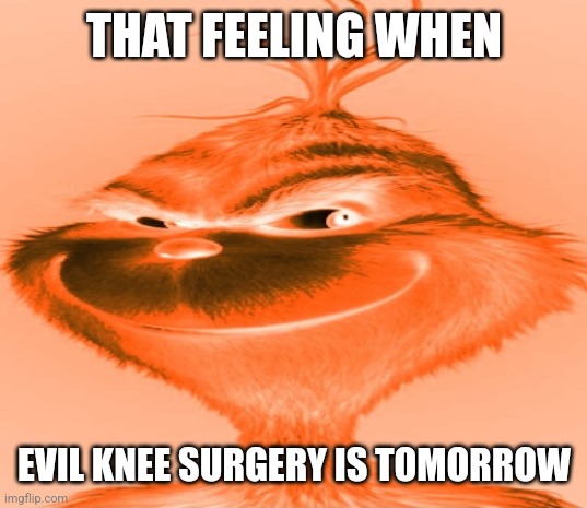 Blue Grinch | THAT FEELING WHEN; EVIL KNEE SURGERY IS TOMORROW | image tagged in blue grinch | made w/ Imgflip meme maker