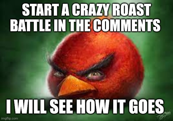 This might get crazy | START A CRAZY ROAST BATTLE IN THE COMMENTS; I WILL SEE HOW IT GOES | image tagged in realistic red angry birds,roast,roasted,oh wow are you actually reading these tags | made w/ Imgflip meme maker