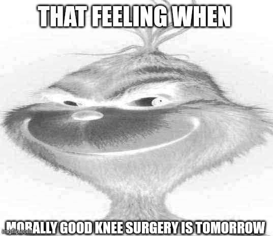 Blue Grinch | THAT FEELING WHEN; MORALLY GOOD KNEE SURGERY IS TOMORROW | image tagged in blue grinch | made w/ Imgflip meme maker