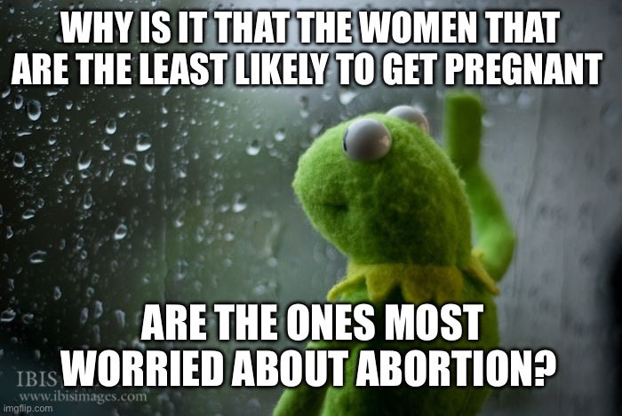 kermit window | WHY IS IT THAT THE WOMEN THAT ARE THE LEAST LIKELY TO GET PREGNANT; ARE THE ONES MOST WORRIED ABOUT ABORTION? | image tagged in kermit window | made w/ Imgflip meme maker