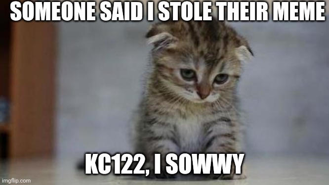 I didn't mean too man. | SOMEONE SAID I STOLE THEIR MEME; KC122, I SOWWY | image tagged in sad kitten | made w/ Imgflip meme maker