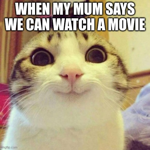 smileeeeeeeeeeee | WHEN MY MUM SAYS WE CAN WATCH A MOVIE | image tagged in memes,smiling cat | made w/ Imgflip meme maker