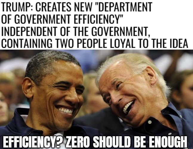 EFFICIENCY? ZERO SHOULD BE ENOUGH | image tagged in donald trump,democrats,funny | made w/ Imgflip meme maker