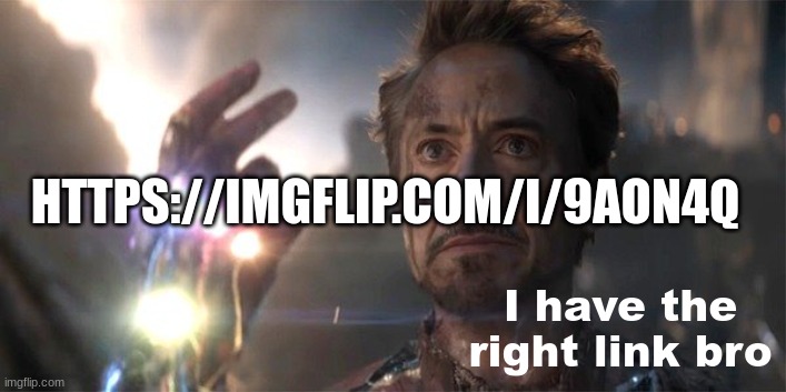 I have the right link bro | HTTPS://IMGFLIP.COM/I/9AON4Q | image tagged in i have the right link bro | made w/ Imgflip meme maker
