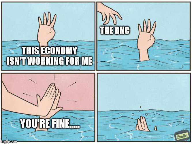 High five drown | THE DNC; THIS ECONOMY ISN'T WORKING FOR ME; YOU'RE FINE..... | image tagged in high five drown | made w/ Imgflip meme maker