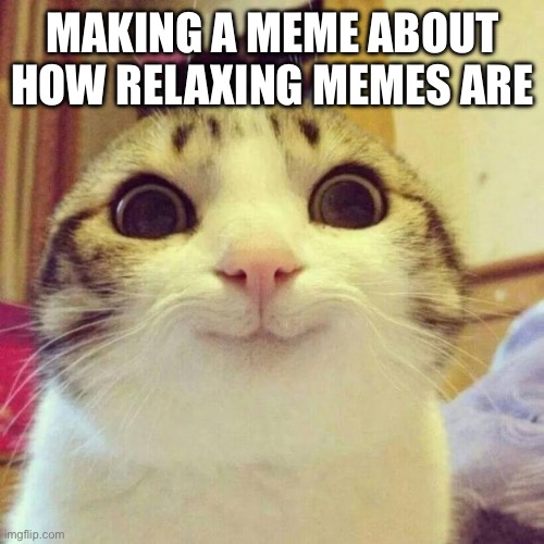 Meme therapy | MAKING A MEME ABOUT HOW RELAXING MEMES ARE | image tagged in memes,smiling cat | made w/ Imgflip meme maker