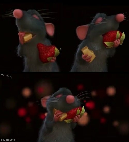 Remi eating both cheese and grape | image tagged in remi eating both cheese and grape | made w/ Imgflip meme maker