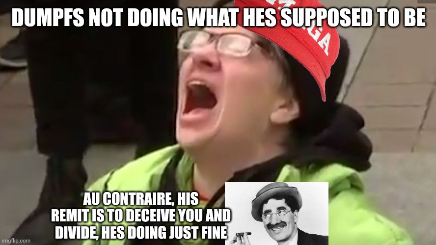 Screaming Liberal  | DUMPFS NOT DOING WHAT HES SUPPOSED TO BE AU CONTRAIRE, HIS REMIT IS TO DECEIVE YOU AND DIVIDE, HES DOING JUST FINE | image tagged in screaming liberal | made w/ Imgflip meme maker