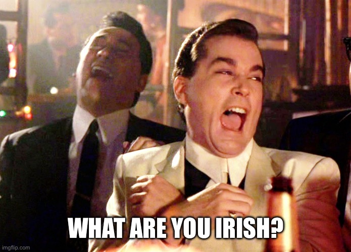 Good Fellas Hilarious Meme | WHAT ARE YOU IRISH? | image tagged in memes,good fellas hilarious | made w/ Imgflip meme maker