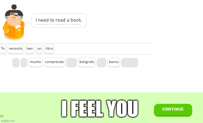 My book is still coming in from the library :( | I FEEL YOU | image tagged in books,duolingo | made w/ Imgflip meme maker