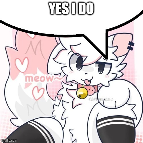 femboy boykisser speech bubble | YES I DO | image tagged in femboy boykisser speech bubble | made w/ Imgflip meme maker