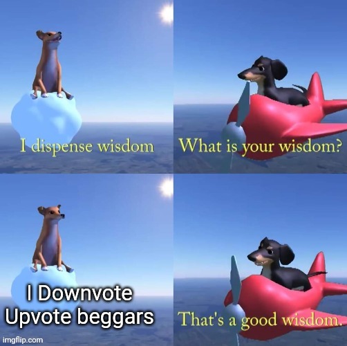 Wisdom dog | I Downvote Upvote beggars | image tagged in wisdom dog | made w/ Imgflip meme maker