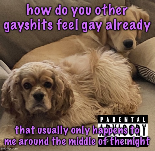 and also KEEP IT TO YOURSELF | how do you other gayshits feel gay already; that usually only happens to me around the middle of the night | image tagged in gnocchi and henry s first studio album,cinnabox announcements | made w/ Imgflip meme maker