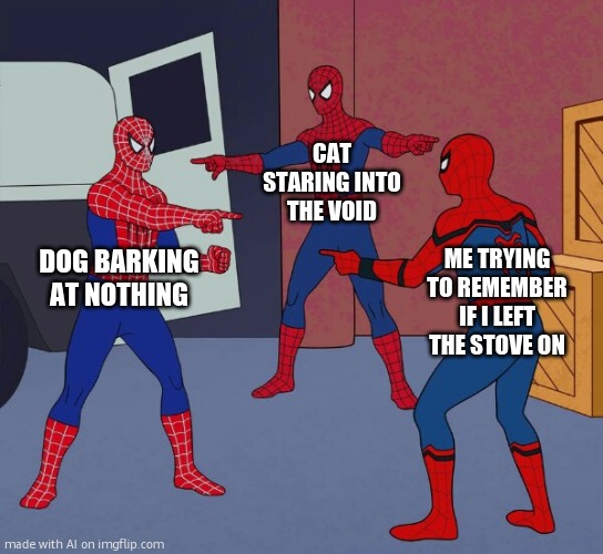 Spider Man Triple | CAT STARING INTO THE VOID; DOG BARKING AT NOTHING; ME TRYING TO REMEMBER IF I LEFT THE STOVE ON | image tagged in spider man triple | made w/ Imgflip meme maker