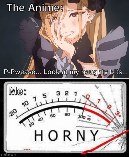 Horny | image tagged in horny,please,naughty,funny,funny meme | made w/ Imgflip meme maker