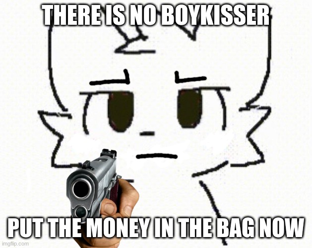 you like kissing boys | THERE IS NO BOYKISSER; PUT THE MONEY IN THE BAG NOW | image tagged in you like kissing boys | made w/ Imgflip meme maker