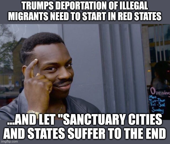 Payback is a bitch | TRUMPS DEPORTATION OF ILLEGAL MIGRANTS NEED TO START IN RED STATES; ...AND LET "SANCTUARY CITIES AND STATES SUFFER TO THE END | image tagged in memes,roll safe think about it | made w/ Imgflip meme maker