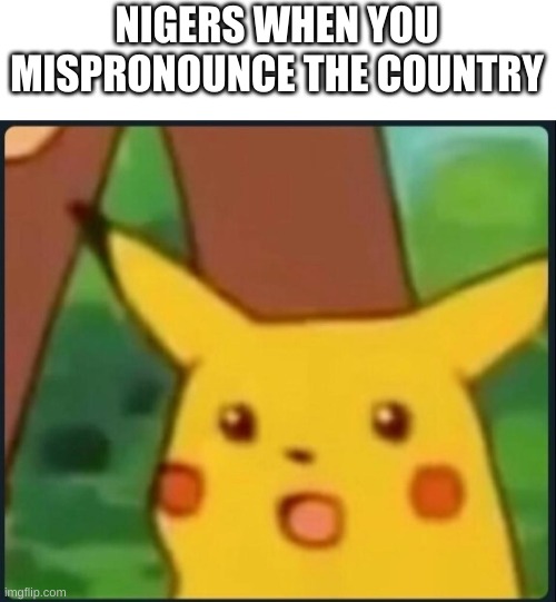 country slander #4 | NIGERS WHEN YOU MISPRONOUNCE THE COUNTRY | image tagged in surprised pikachu | made w/ Imgflip meme maker