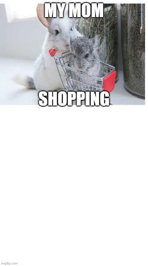 MY MOM; SHOPPING | image tagged in shopping | made w/ Imgflip meme maker