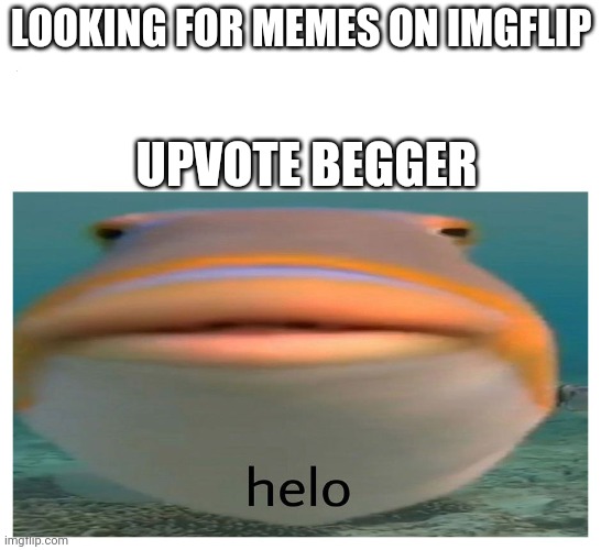 helo fish | LOOKING FOR MEMES ON IMGFLIP; UPVOTE BEGGER | image tagged in helo fish | made w/ Imgflip meme maker