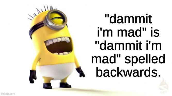 real | "dammit i'm mad" is "dammit i'm mad" spelled backwards. | image tagged in gifs,memes,funny,shitpost,minion memes,stupid | made w/ Imgflip meme maker