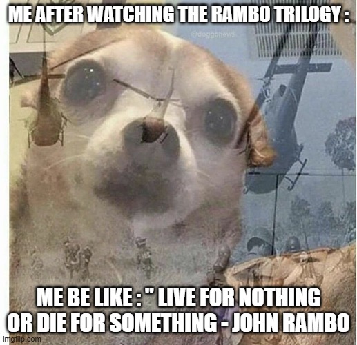 Fun | ME AFTER WATCHING THE RAMBO TRILOGY :; ME BE LIKE : " LIVE FOR NOTHING OR DIE FOR SOMETHING - JOHN RAMBO | image tagged in ptsd chihuahua | made w/ Imgflip meme maker