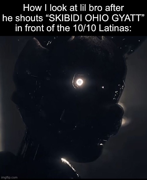 How I look at lil bro after he shouts “SKIBIDI OHIO GYATT” in front of the 10/10 Latinas: | made w/ Imgflip meme maker