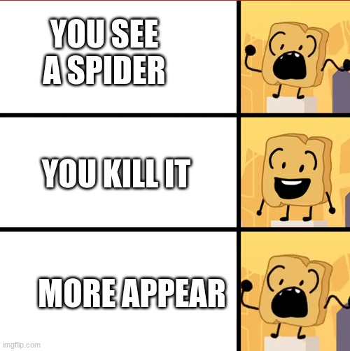 bfdi woody meme template | YOU SEE A SPIDER; YOU KILL IT; MORE APPEAR | image tagged in bfdi woody meme template | made w/ Imgflip meme maker