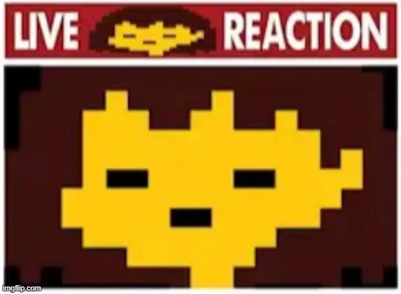 live frisk reaction | image tagged in live frisk reaction | made w/ Imgflip meme maker