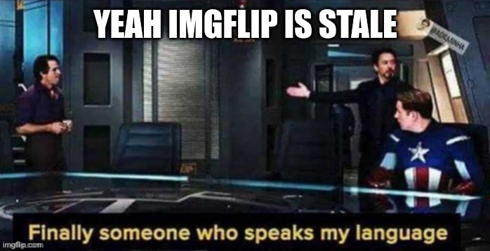 finnaly someone speaks my language | YEAH IMGFLIP IS STALE | image tagged in finnaly someone speaks my language | made w/ Imgflip meme maker