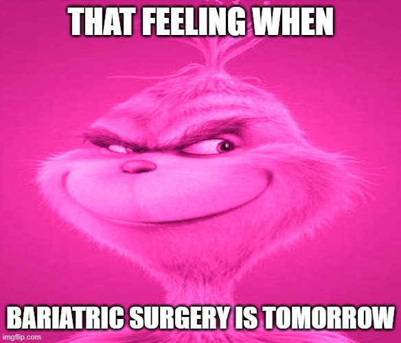 that feeling when bariatric surgery is tomorrow | THAT FEELING WHEN; The Meme Lord; BARIATRIC SURGERY IS TOMORROW | image tagged in that feeling when,the grinch,grinch | made w/ Imgflip meme maker