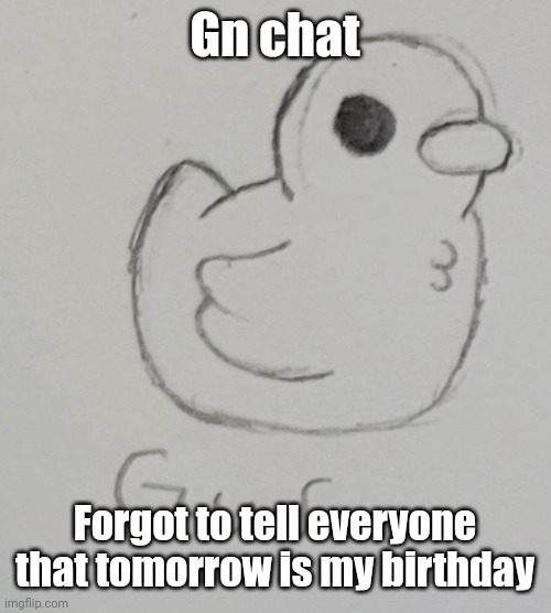 Still have some stuff to do for my OCs and whatnot... | Gn chat; Forgot to tell everyone that tomorrow is my birthday | image tagged in gus the duck | made w/ Imgflip meme maker