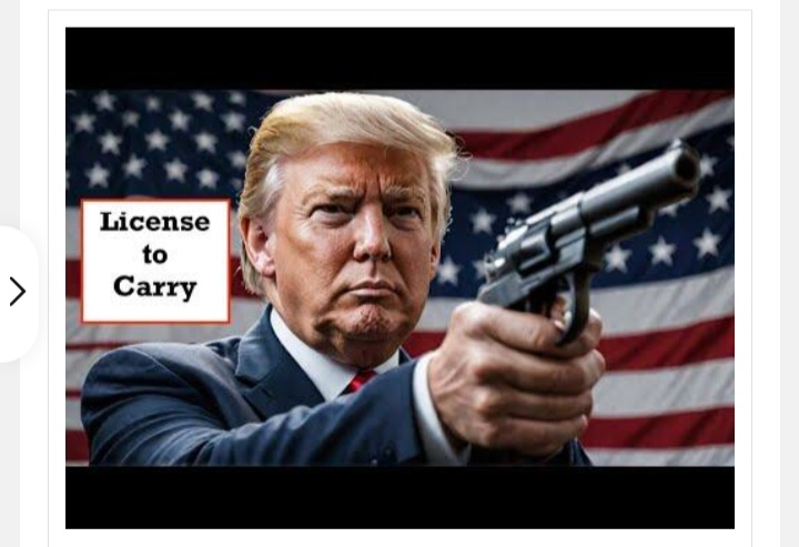 Dirty Don License to Carry Blank Meme Template