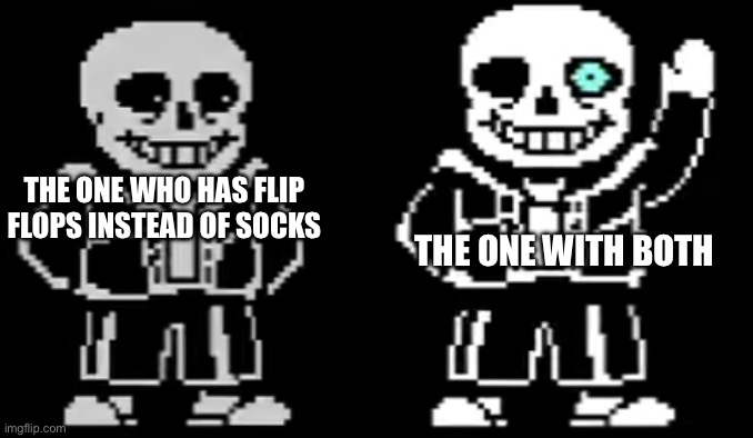 THE ONE WITH BOTH; THE ONE WHO HAS FLIP FLOPS INSTEAD OF SOCKS | made w/ Imgflip meme maker