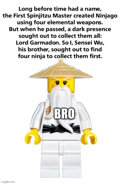 BRO | image tagged in long before time had a name | made w/ Imgflip meme maker