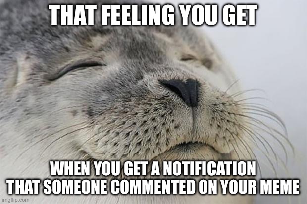 It just hits different | THAT FEELING YOU GET; WHEN YOU GET A NOTIFICATION THAT SOMEONE COMMENTED ON YOUR MEME | image tagged in memes,satisfied seal | made w/ Imgflip meme maker