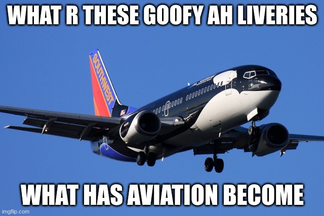 plne | WHAT R THESE GOOFY AH LIVERIES; WHAT HAS AVIATION BECOME | image tagged in plne | made w/ Imgflip meme maker