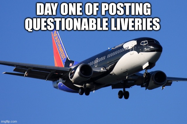 plne | DAY ONE OF POSTING QUESTIONABLE LIVERIES | image tagged in airplane | made w/ Imgflip meme maker