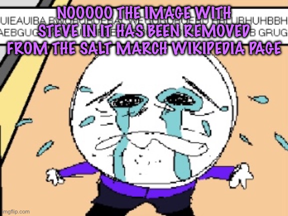 Protagonist crying | NOOOOO THE IMAGE WITH STEVE IN IT HAS BEEN REMOVED FROM THE SALT MARCH WIKIPEDIA PAGE | image tagged in protagonist crying,cinnabox announcement | made w/ Imgflip meme maker