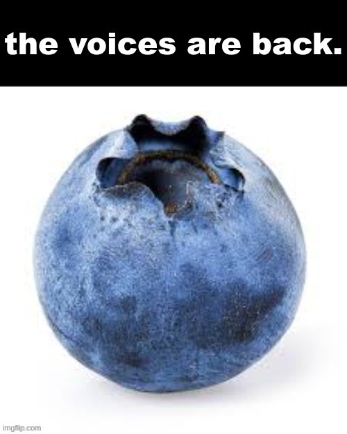 the voices are back. | image tagged in the voices are back | made w/ Imgflip meme maker