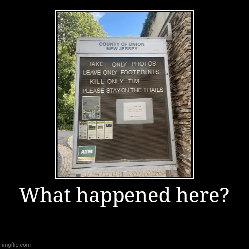 What did Tim do? | What happened here? | | image tagged in funny,demotivationals | made w/ Imgflip demotivational maker