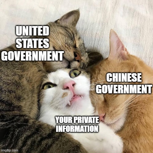 UNITED STATES GOVERNMENT CHINESE GOVERNMENT YOUR PRIVATE INFORMATION | made w/ Imgflip meme maker