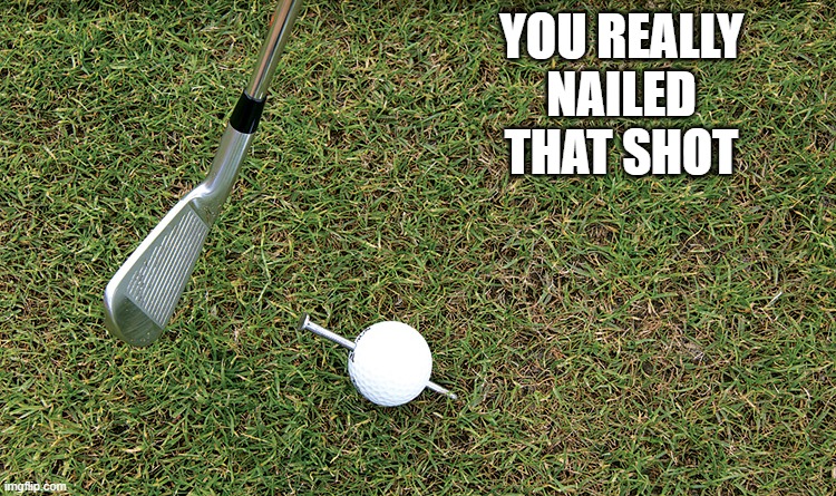 memes by Brad - You really nailed that last shot - humor - | YOU REALLY NAILED THAT SHOT | image tagged in funny,sports,golf,nailed it,humor,play on words | made w/ Imgflip meme maker