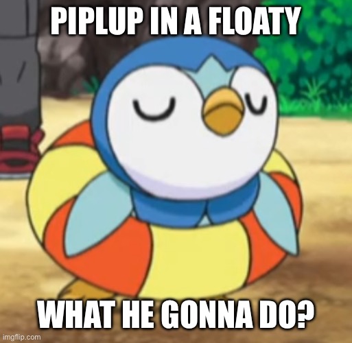 What the Piplup doing? | PIPLUP IN A FLOATY; WHAT HE GONNA DO? | made w/ Imgflip meme maker