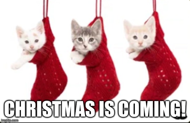 Christmas is coming | CHRISTMAS IS COMING! | image tagged in merry christmas | made w/ Imgflip meme maker