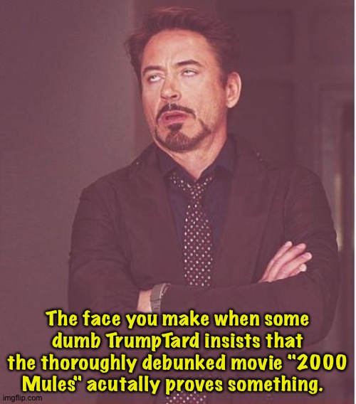 2000 jackasses made "2000 Mules" | The face you make when some dumb TrumpTard insists that the thoroughly debunked movie "2000 Mules" acutally proves something. | image tagged in memes,face you make robert downey jr | made w/ Imgflip meme maker