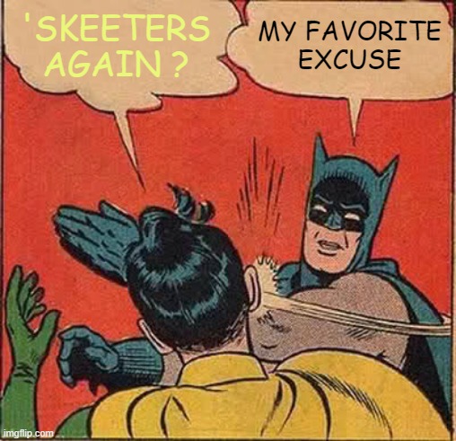 Batman Slapping Robin Meme | 'SKEETERS AGAIN ? MY FAVORITE EXCUSE | image tagged in memes,batman slapping robin | made w/ Imgflip meme maker