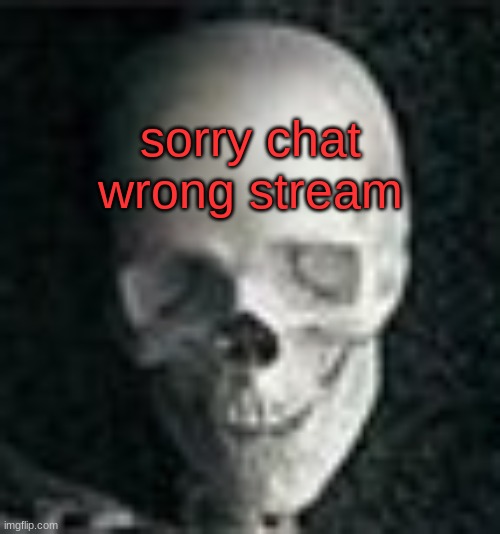 Skull | sorry chat wrong stream | image tagged in skull | made w/ Imgflip meme maker