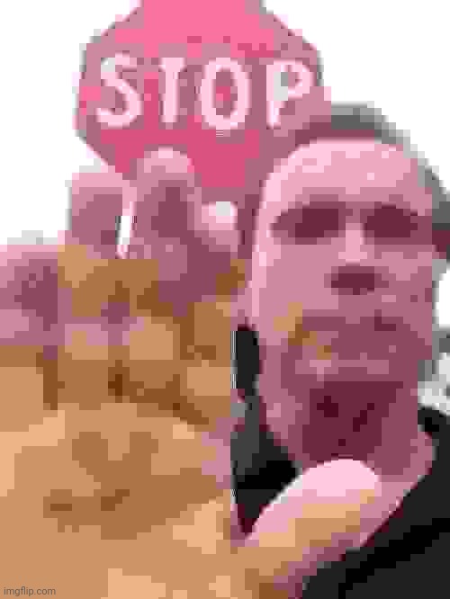 Arnold Schwarzenegger Stop | image tagged in arnold schwarzenegger stop | made w/ Imgflip meme maker